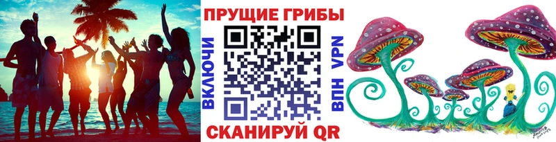 это наркотические препараты Сосновка Псилоцибиновые грибы прущие грибы